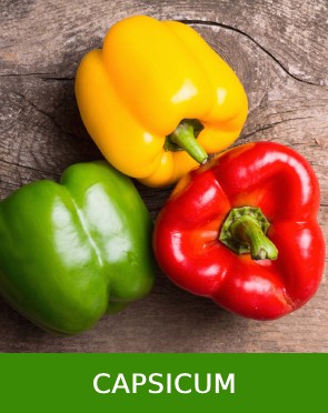 Capsicum