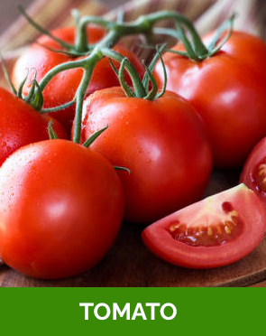 Tomato